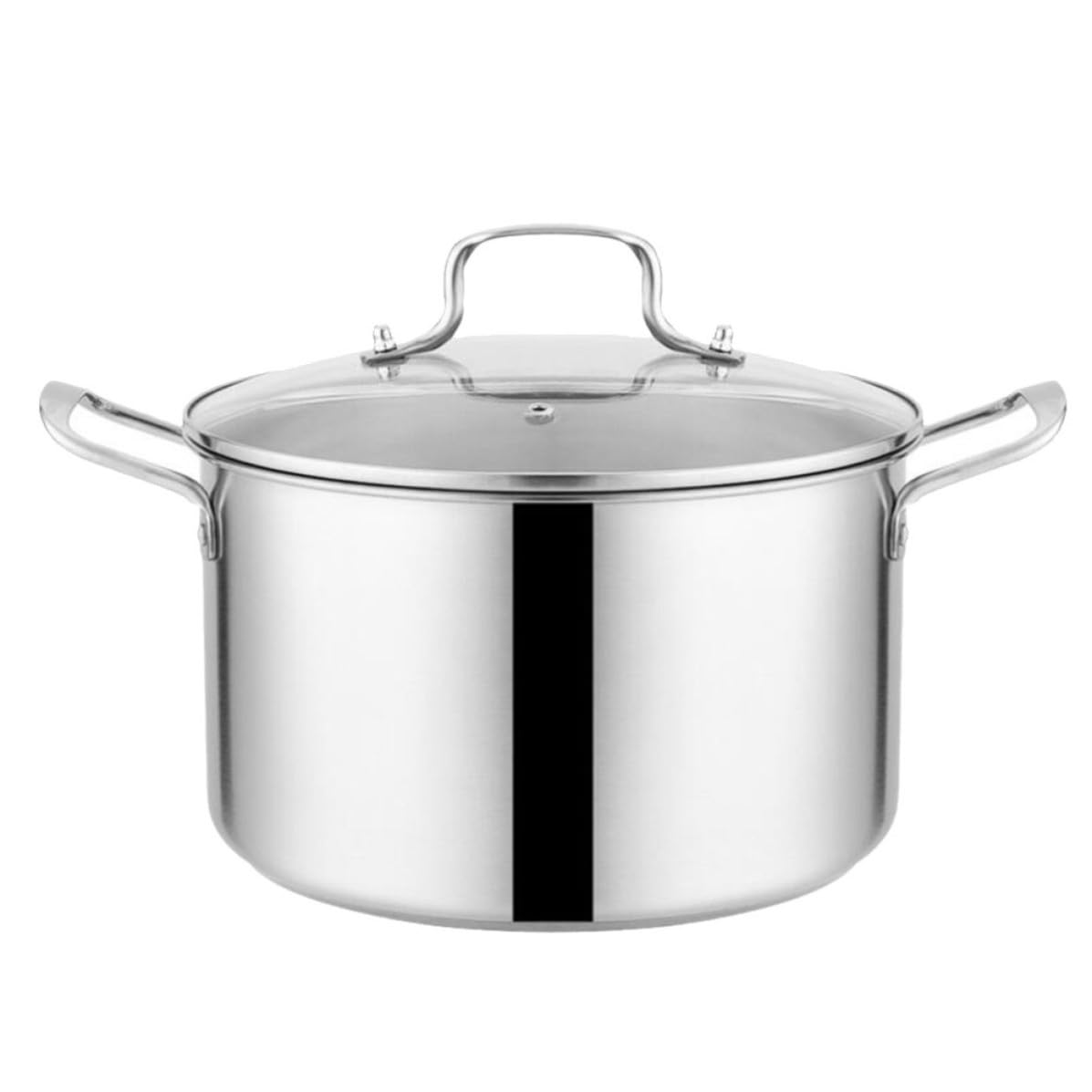 Stainless Steel Stockpot B8497