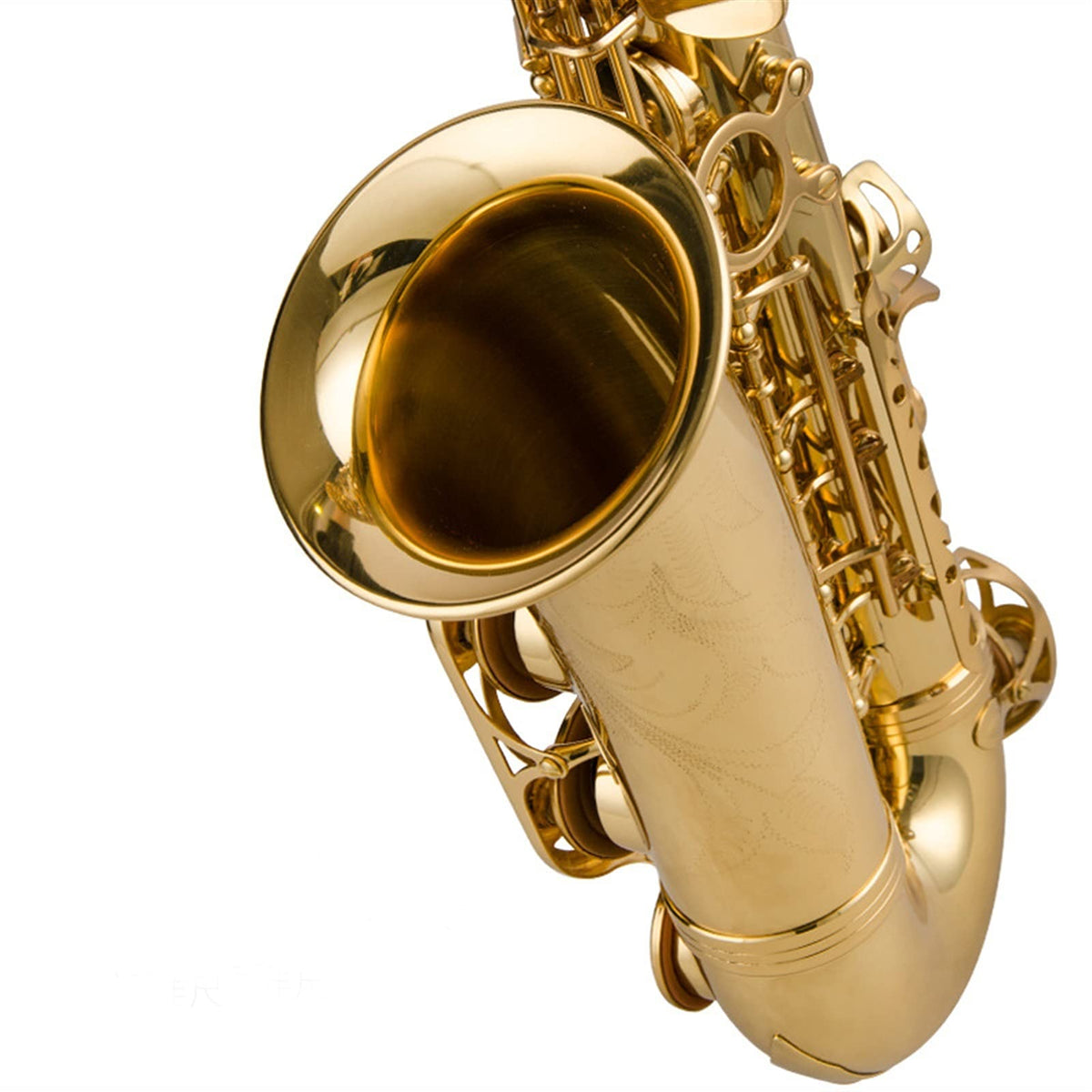 Alto Saxophone Lacquered Gold E-Flat Set O93108