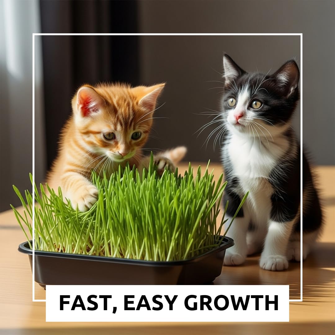Cat Grass Growing Kit with Organic Seed and Jute Grow Mats N425005
