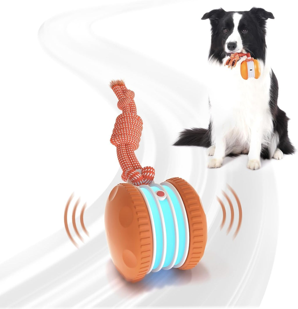 Electric Moving Dog Ball with Rope N32533