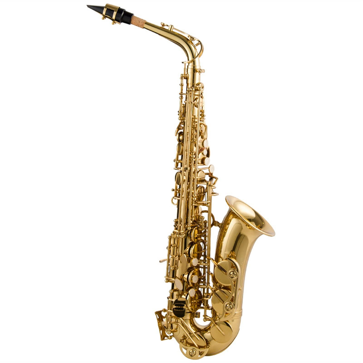 Alto Saxophone Lacquered Gold E-Flat Set O93108