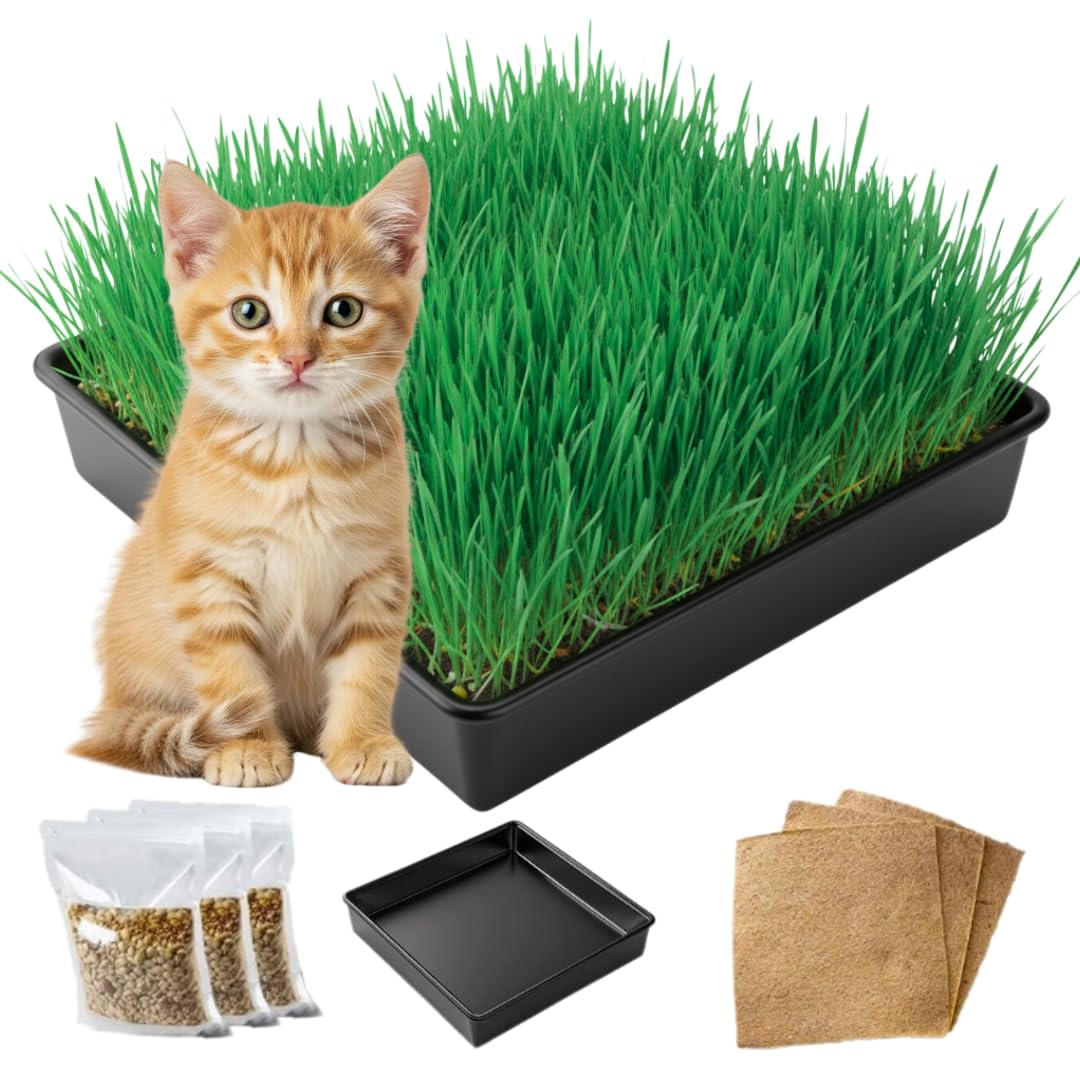 Cat Grass Growing Kit with Organic Seed and Jute Grow Mats N425005