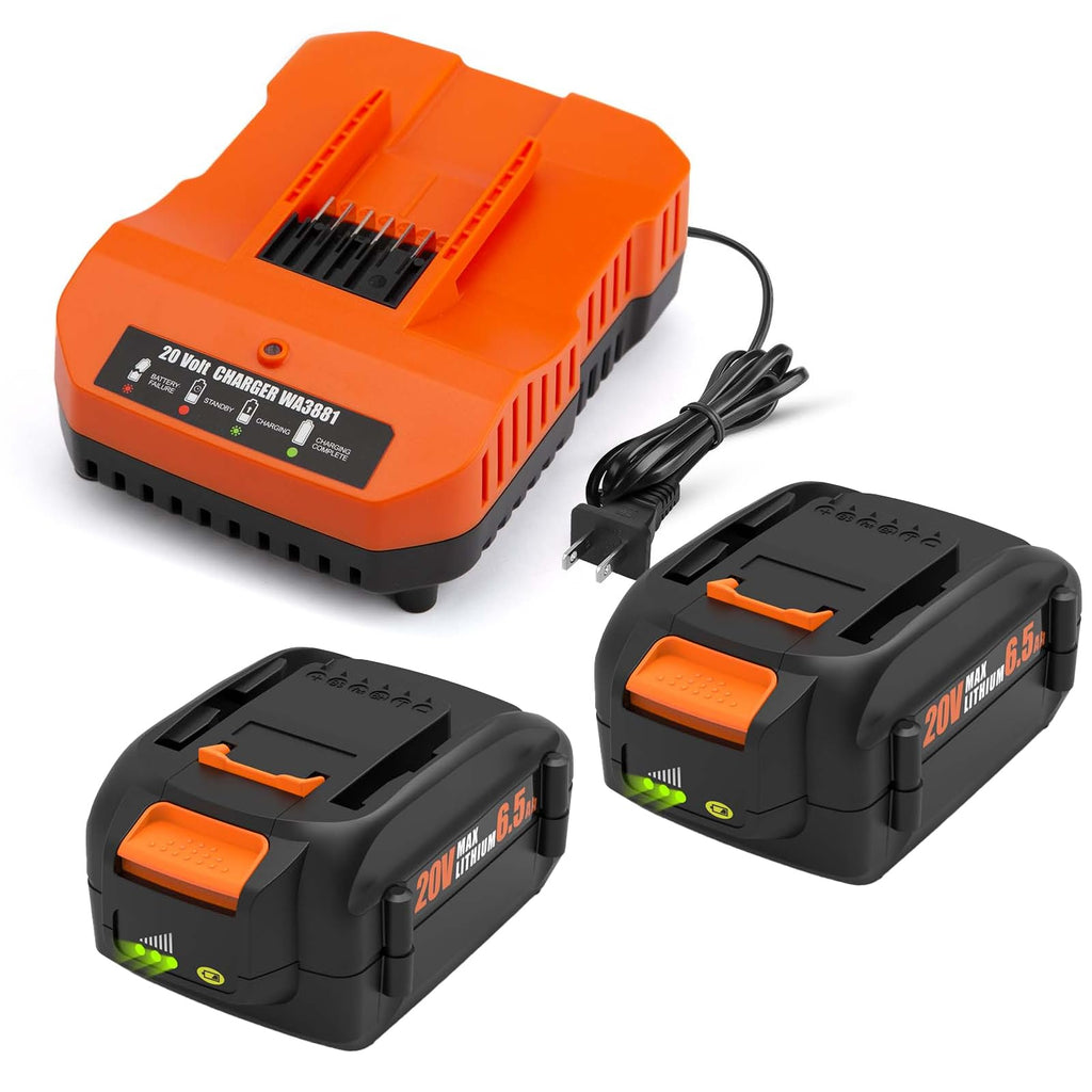 2 Pack 6.5Ah Replacement 20v Lithium Battery and Charger Kit M958