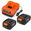 2 Pack 6.5Ah Replacement 20v Lithium Battery and Charger Kit M958