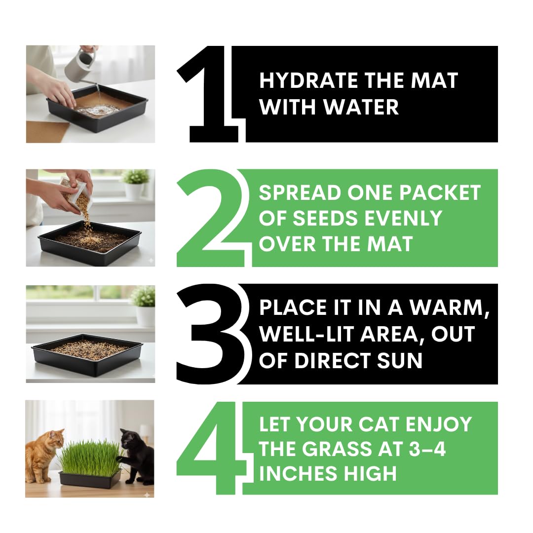 Cat Grass Growing Kit with Organic Seed and Jute Grow Mats N425005