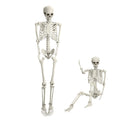 5.4FT Halloween Skeleton with Movable Joints Q3412