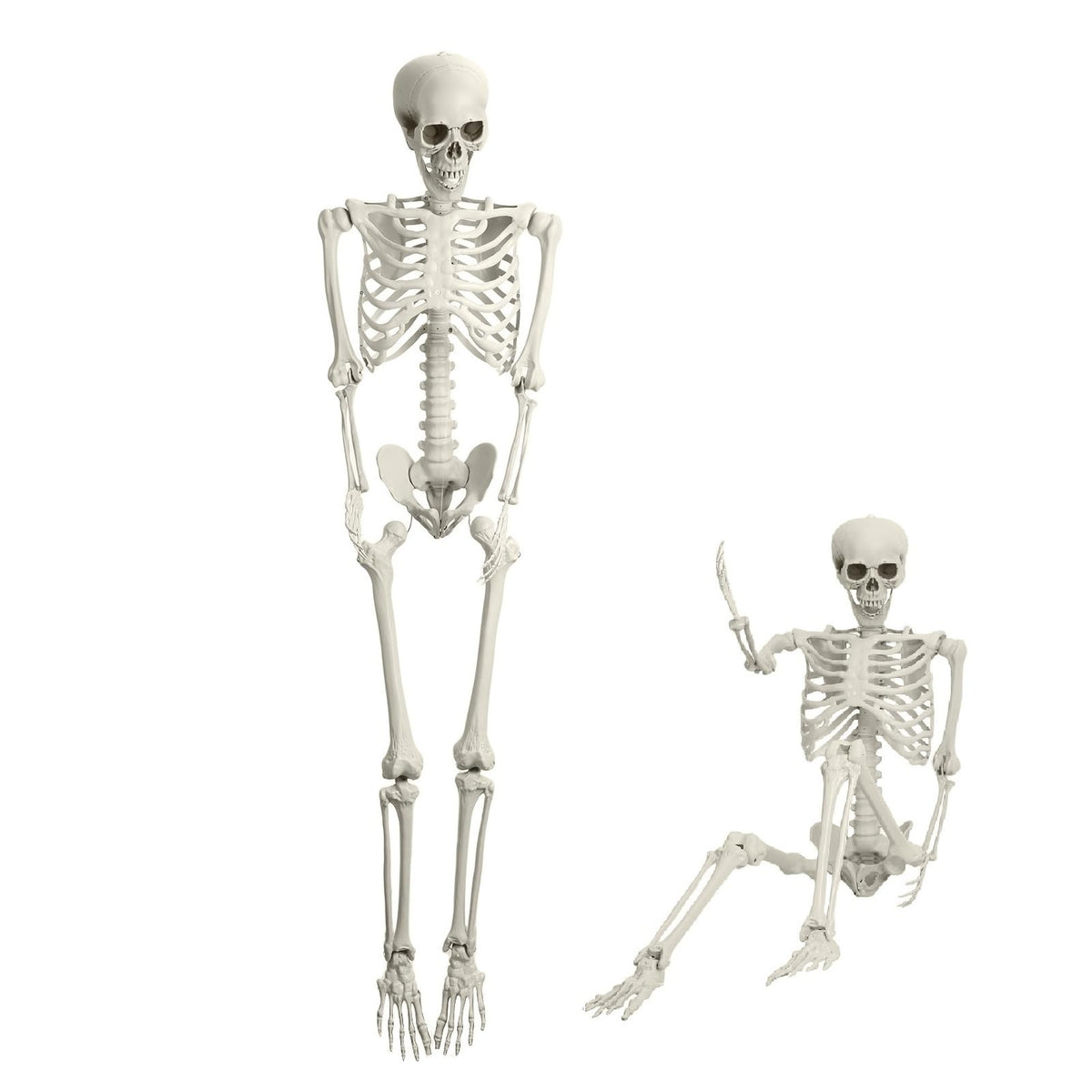 5.4FT Halloween Skeleton with Movable Joints Q3412
