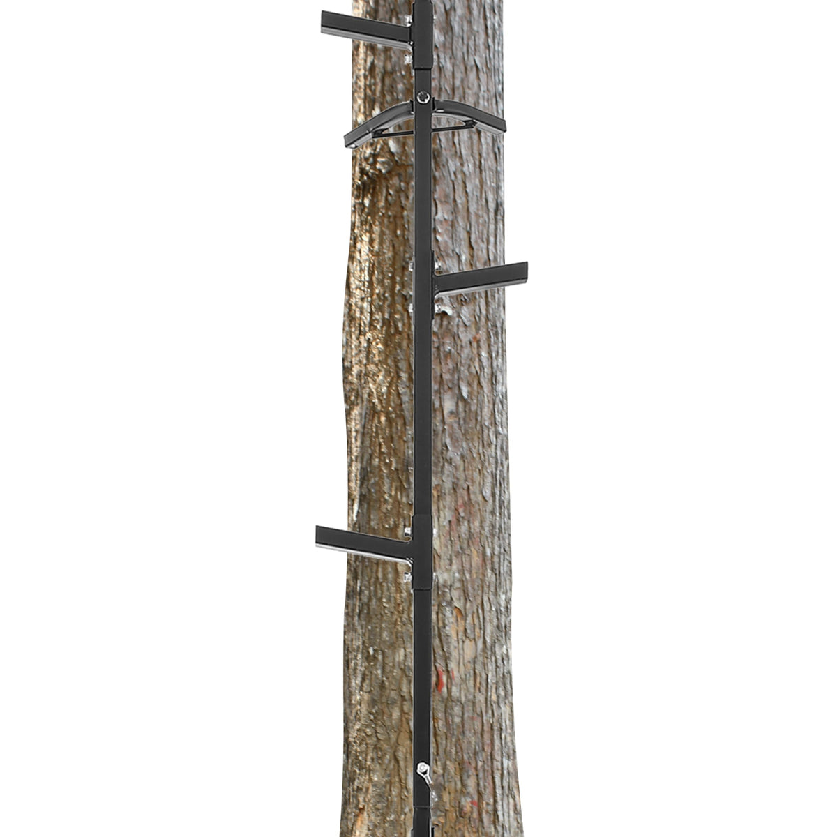 20 ft Climbing Stick Ladder B586422