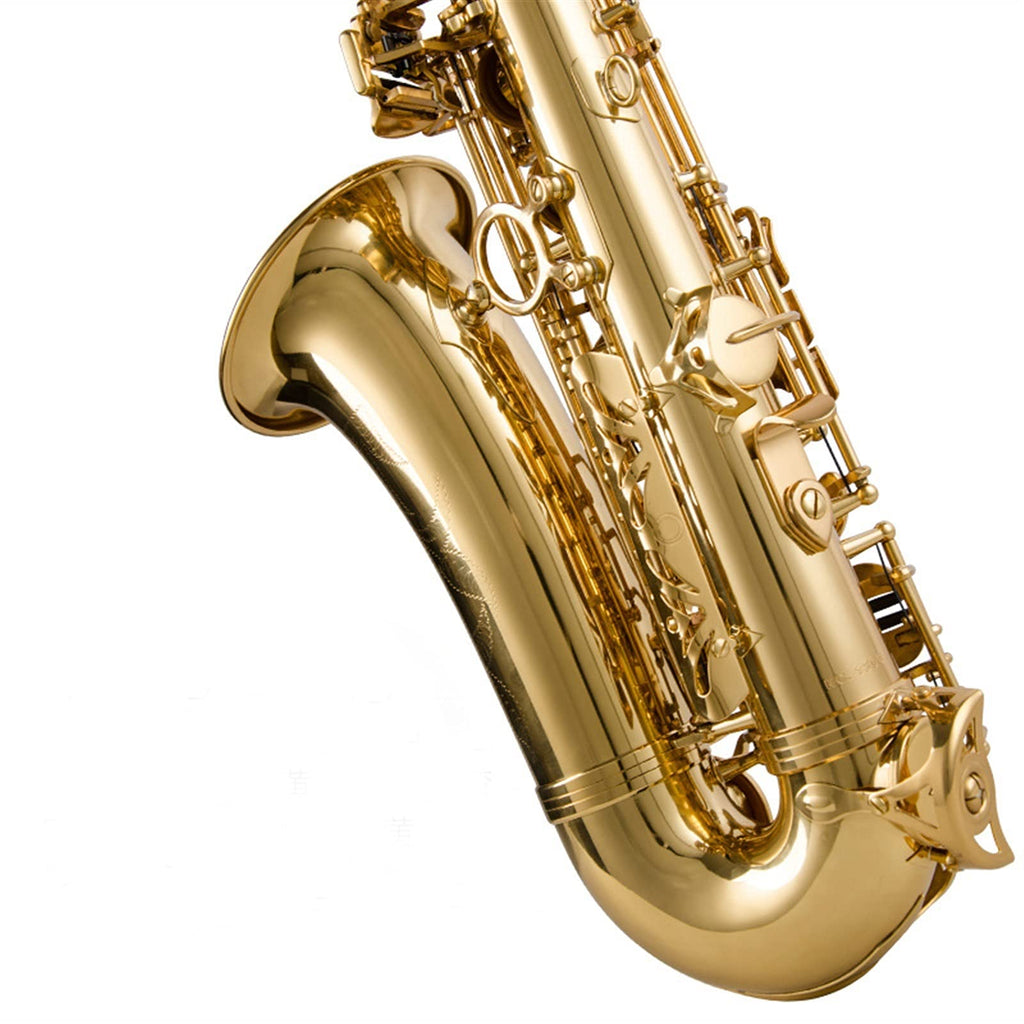 Alto Saxophone Lacquered Gold E-Flat Set O93108