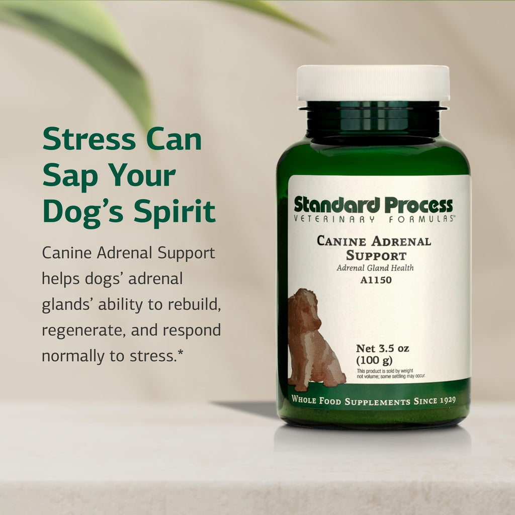 Canine Adrenal Support 100 g Q20620