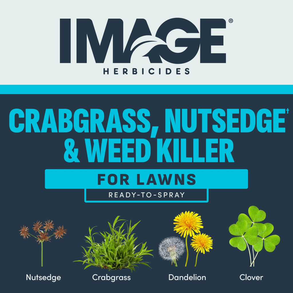 24 fl oz Weed Killer N11643