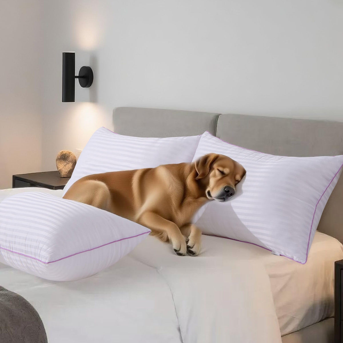 King Size Down Alternative Pillows Set of 2 U7156