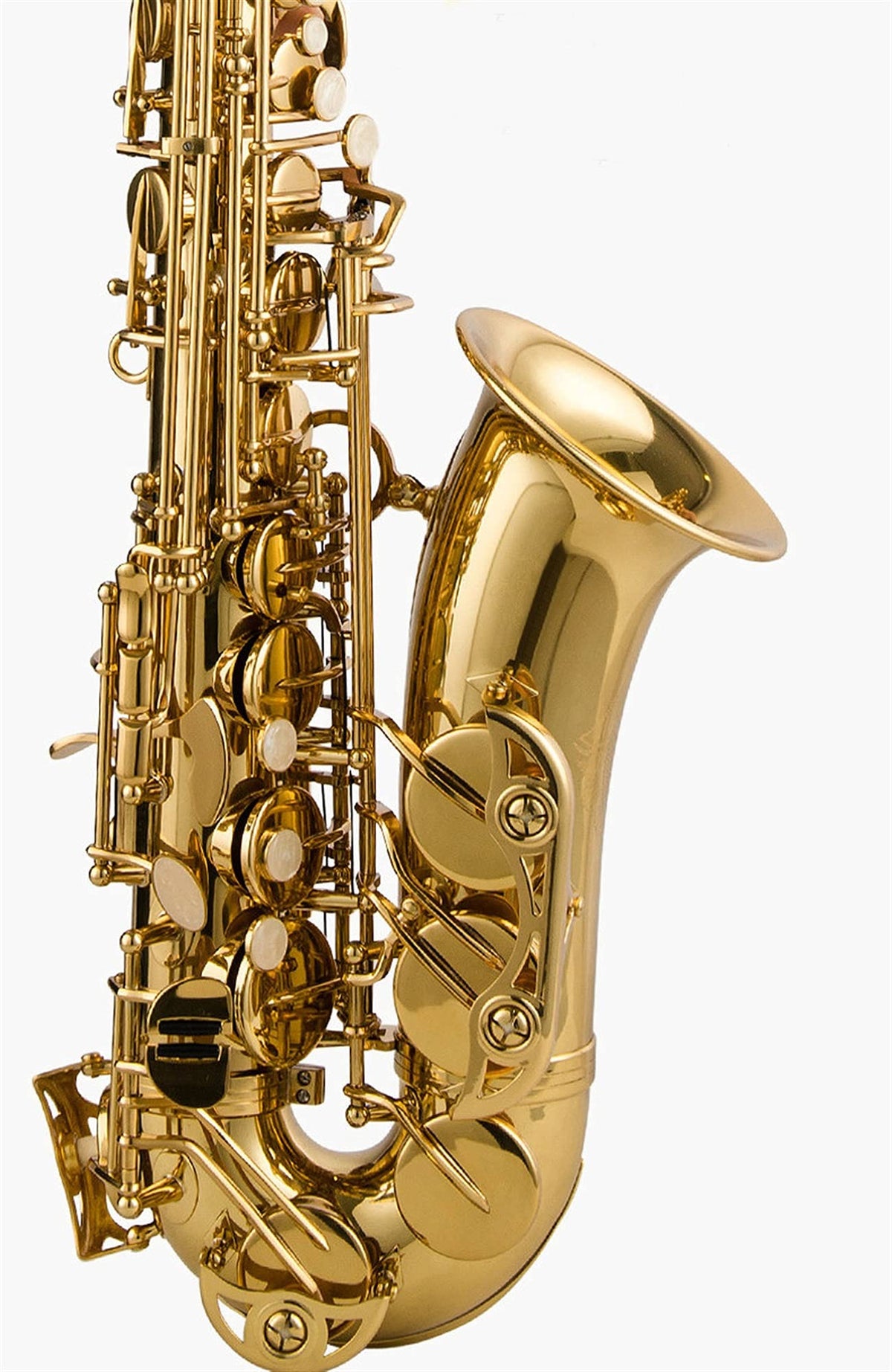 Alto Saxophone Lacquered Gold E-Flat Set O93108