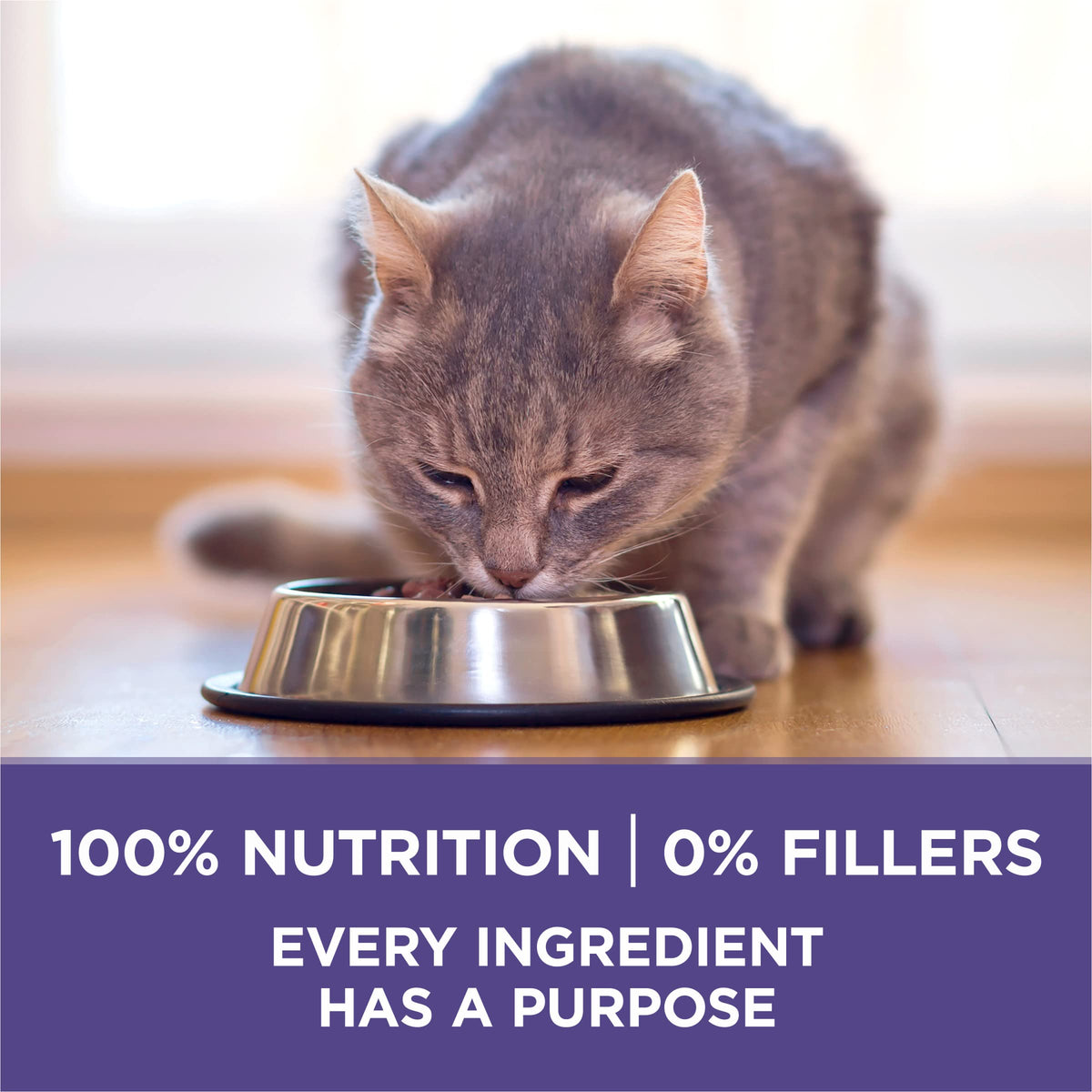 Natural Hairball Control Dry Cat Food, 16 lb Bag E785287