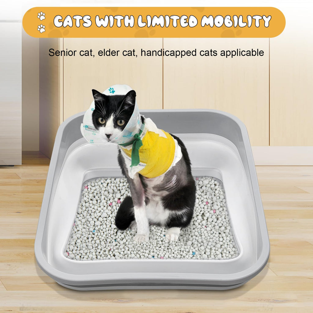 Collapsible Open Cat Litter Box K79618