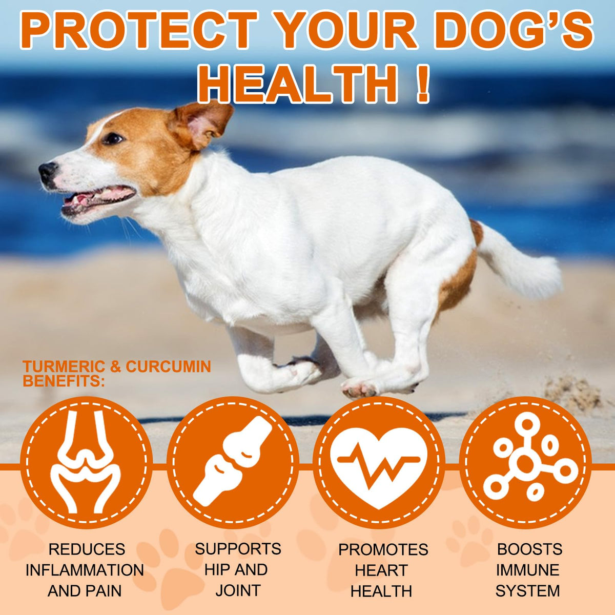180 Count Turmeric Curcumin Tablets for Dogs X698