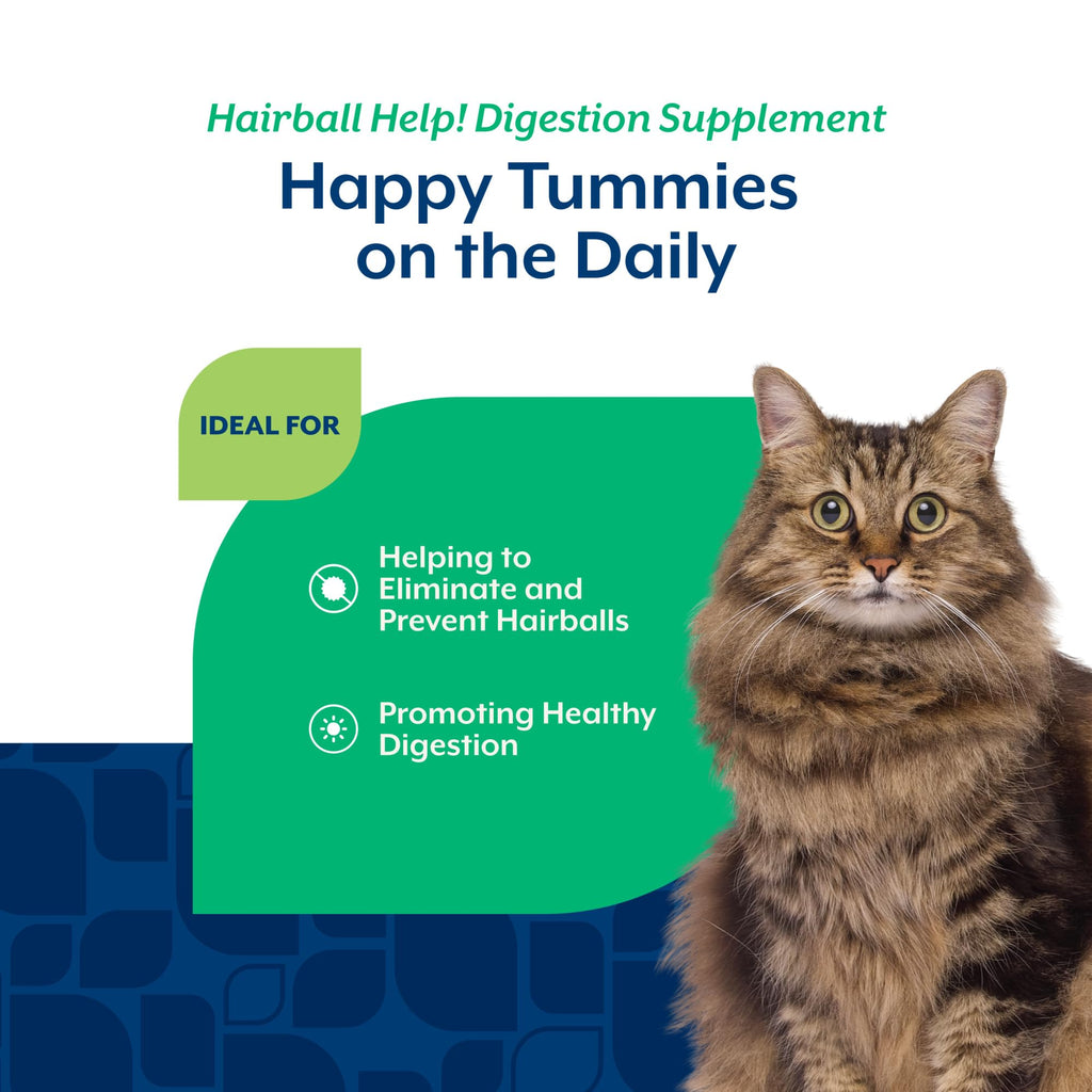 Hairball Aid Supplement for Cats Plus Pumpkin 60 Soft Chews S32841