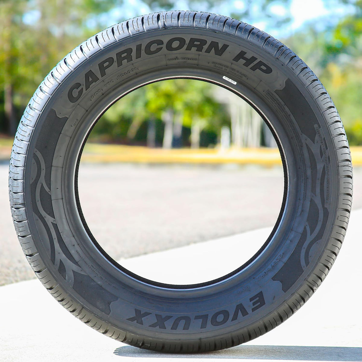 225/60R17 99H All Season Tires C825