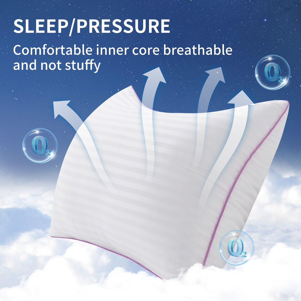 King Size Down Alternative Pillows Set of 2 U7156