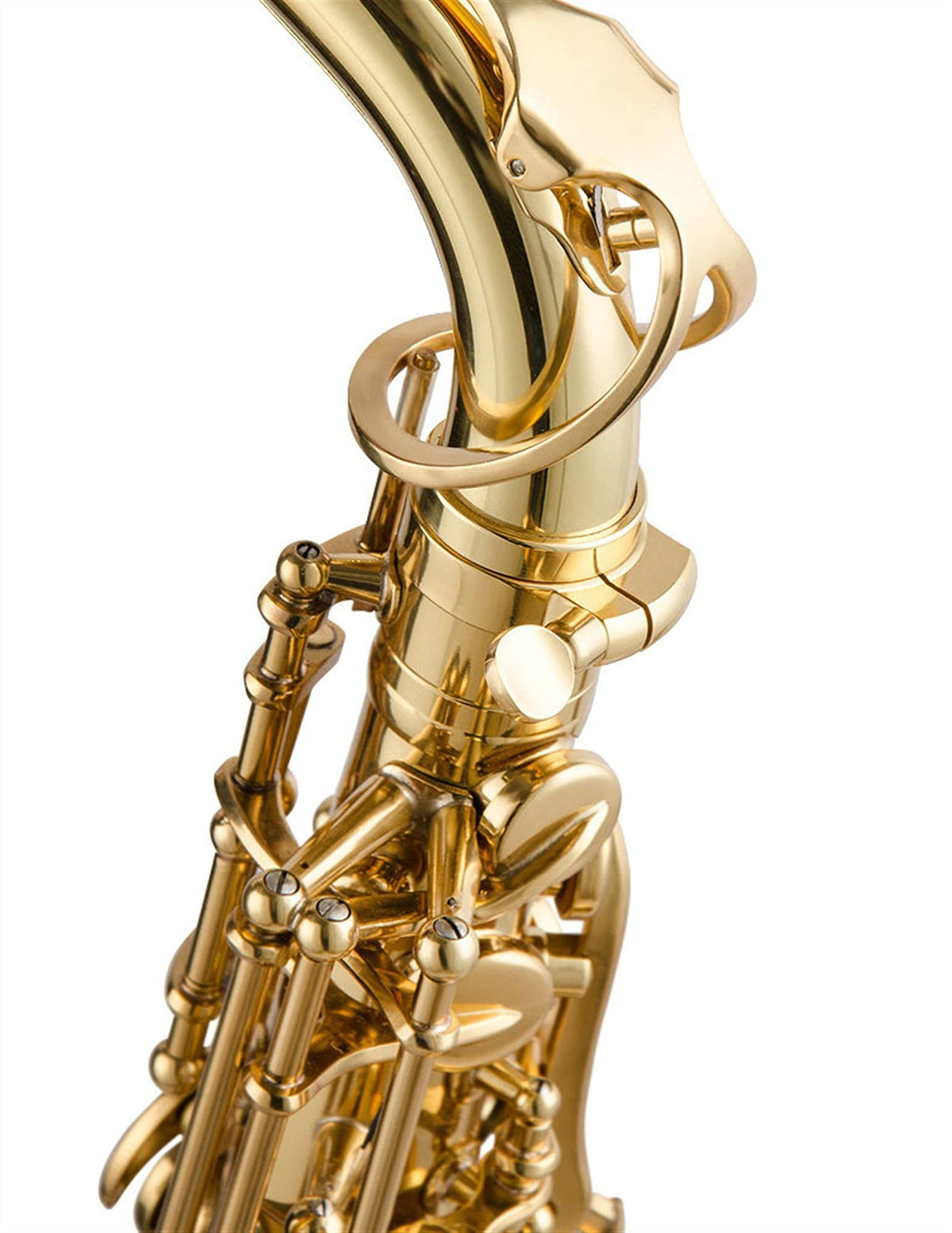 Alto Saxophone Lacquered Gold E-Flat Set O93108