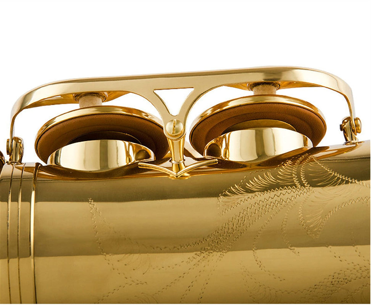 Alto Saxophone Lacquered Gold E-Flat Set O93108