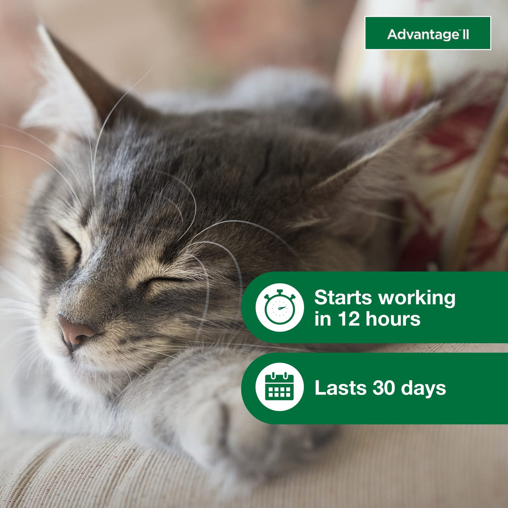 Advantage II Small Cat Topical Flea Treatment & Prevention, 2ct K9665