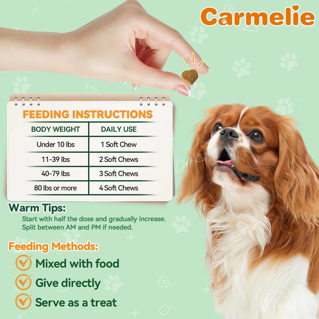 Flea and Tick Prevention for Dogs M162