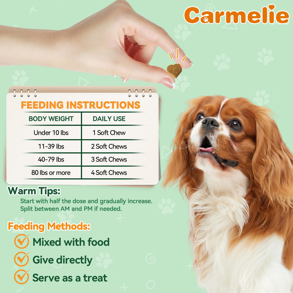 Flea and Tick Prevention for Dogs M162