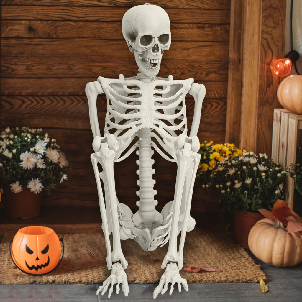 5.4FT Halloween Skeleton with Movable Joints Q3412