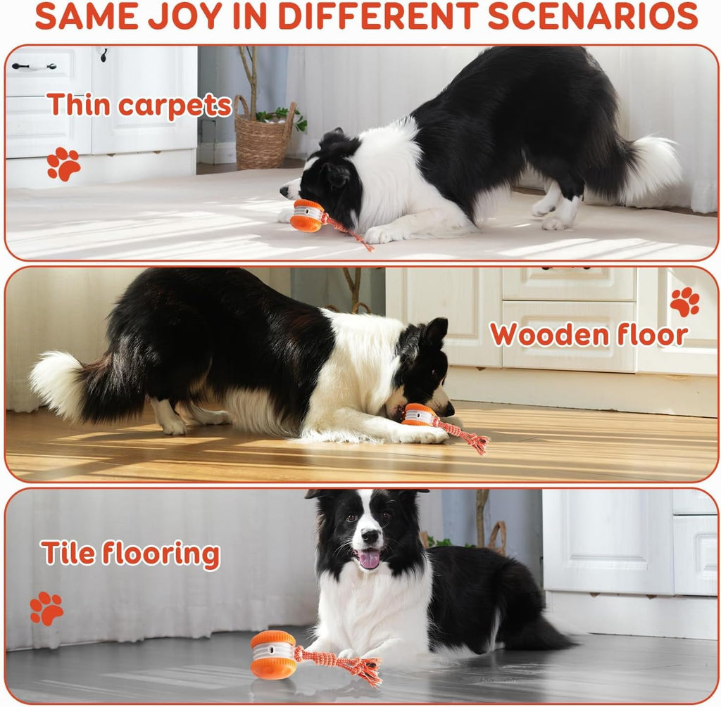Electric Moving Dog Ball with Rope N32533