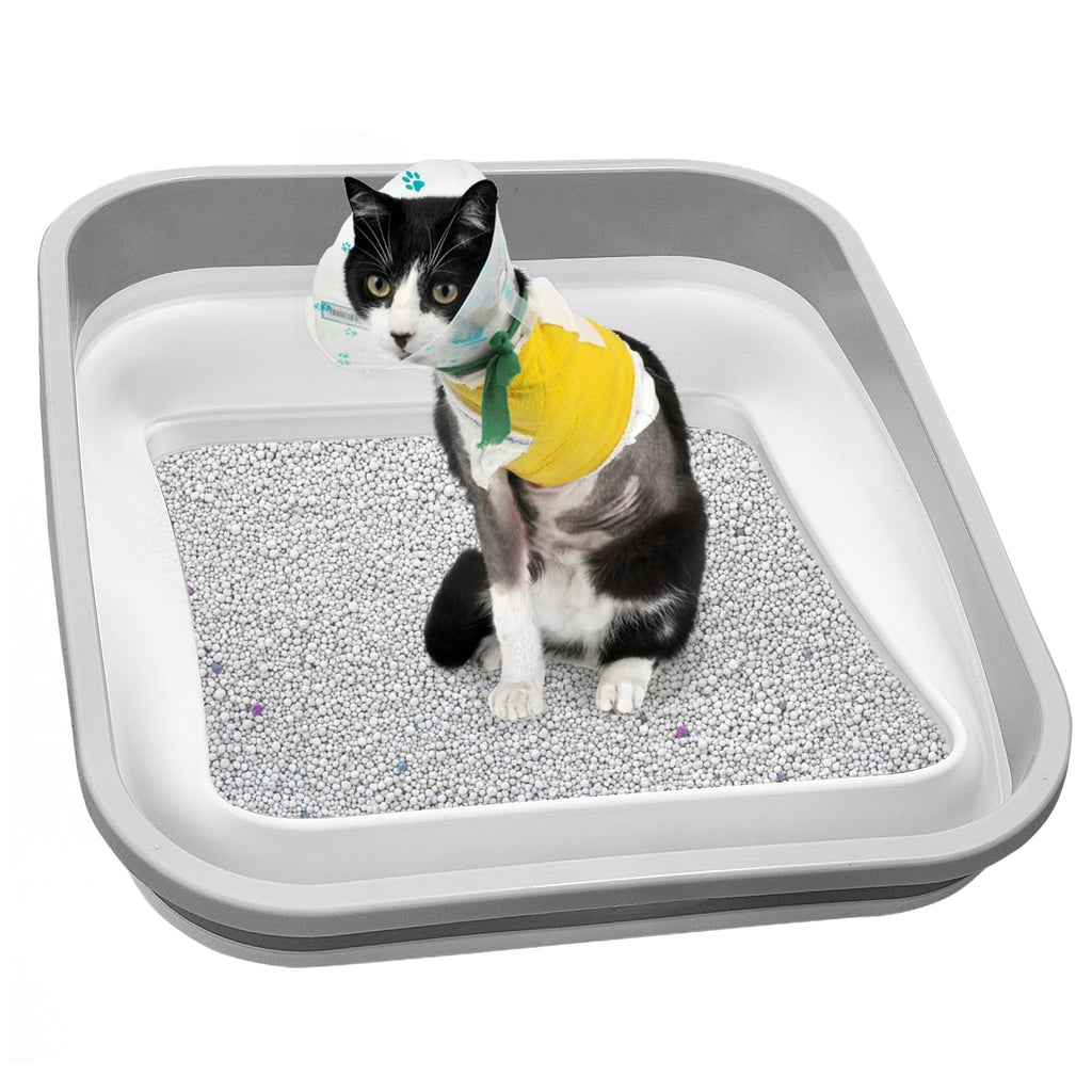 Collapsible Open Cat Litter Box K79618