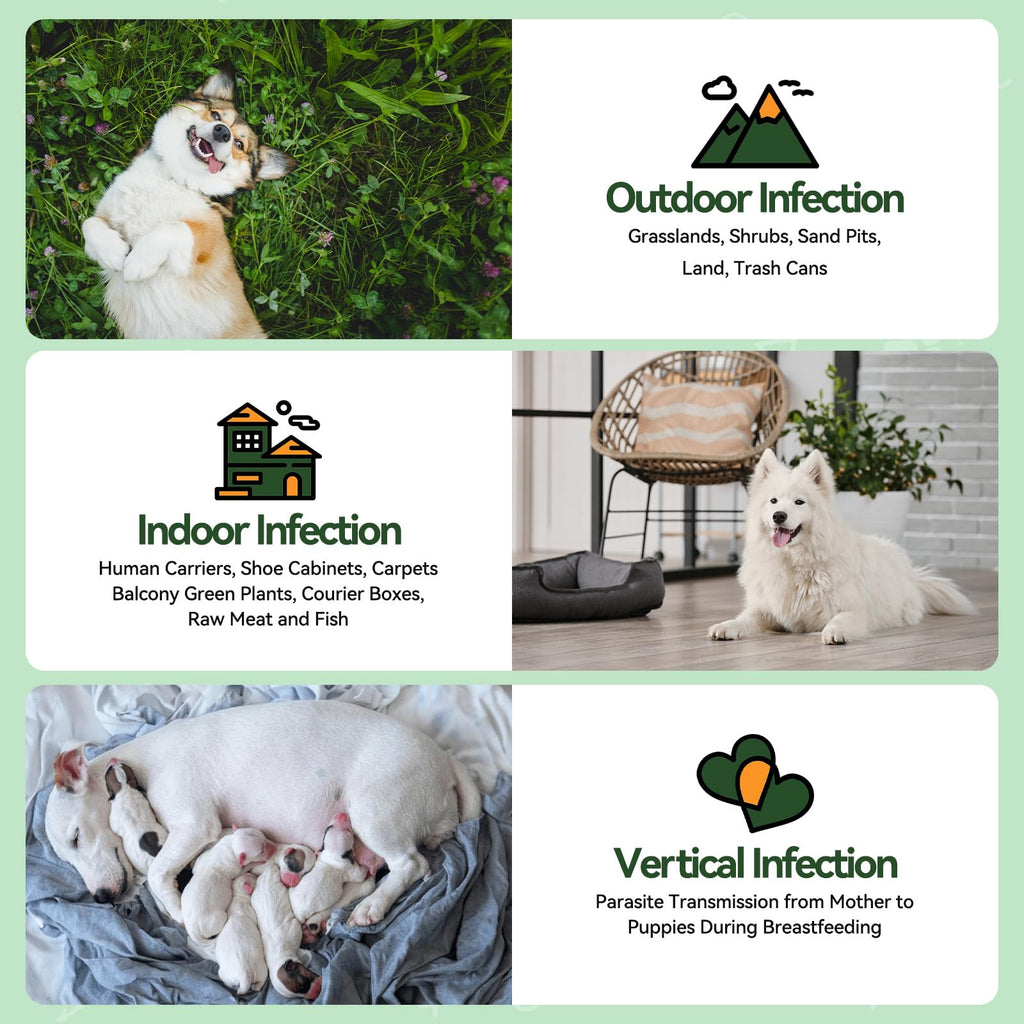 Flea and Tick Prevention for Dogs M162
