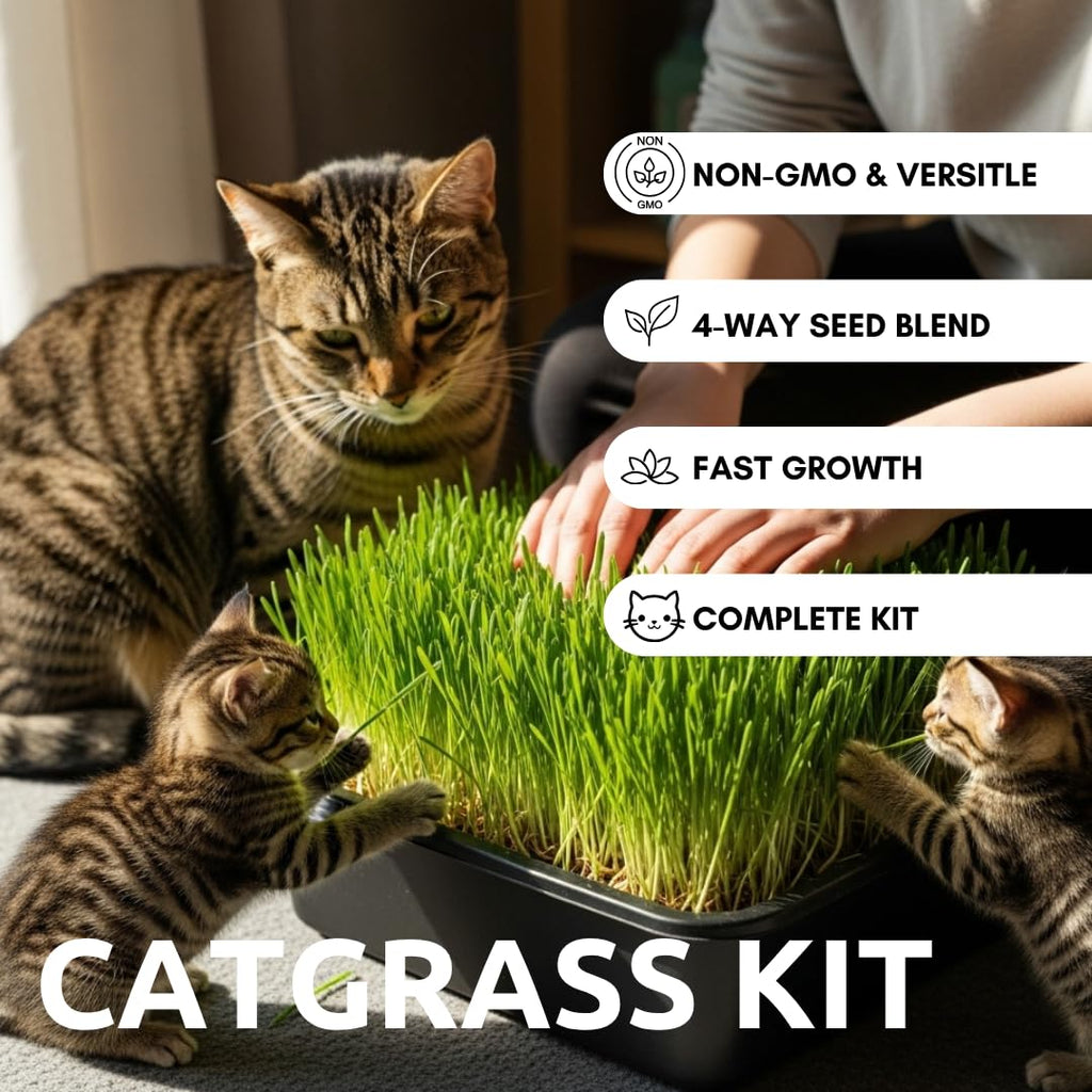 Cat Grass Growing Kit with Organic Seed and Jute Grow Mats N425005