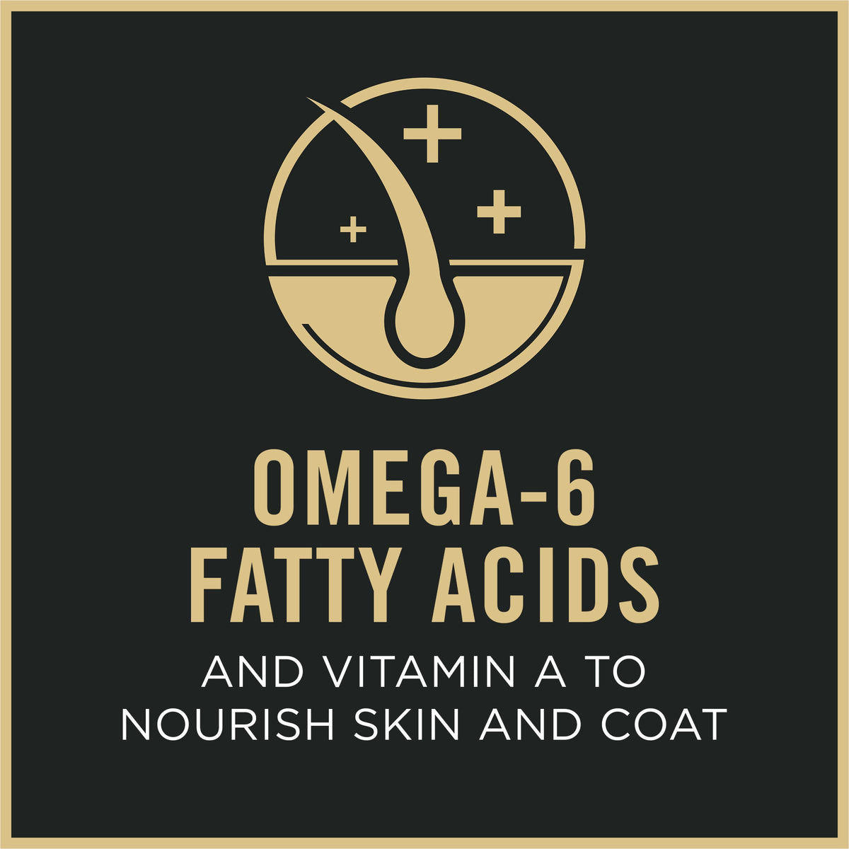 Chicken and Rice Dog Food 34 lb H328
