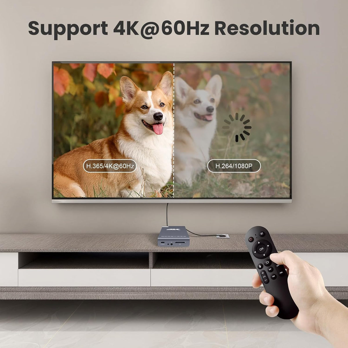 4K 60Hz H.265 Ultra HD Digital Media Player & HDD Enclosure 2 in 1 X8489