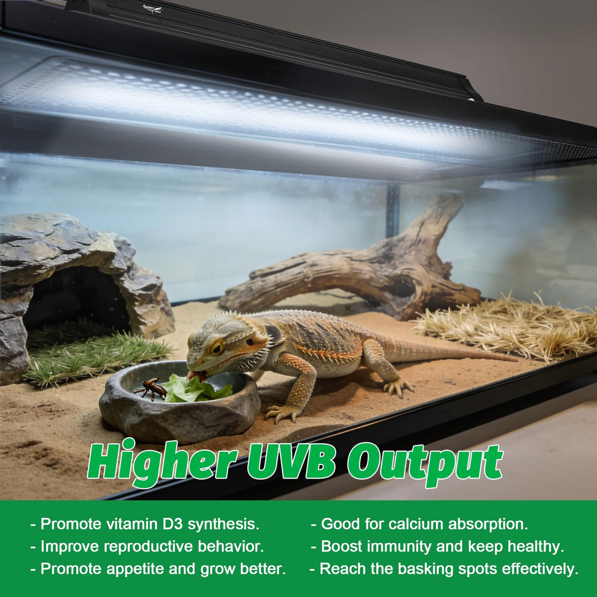 15W T8 UVB Reptile Light Fixture 18 Inch I264
