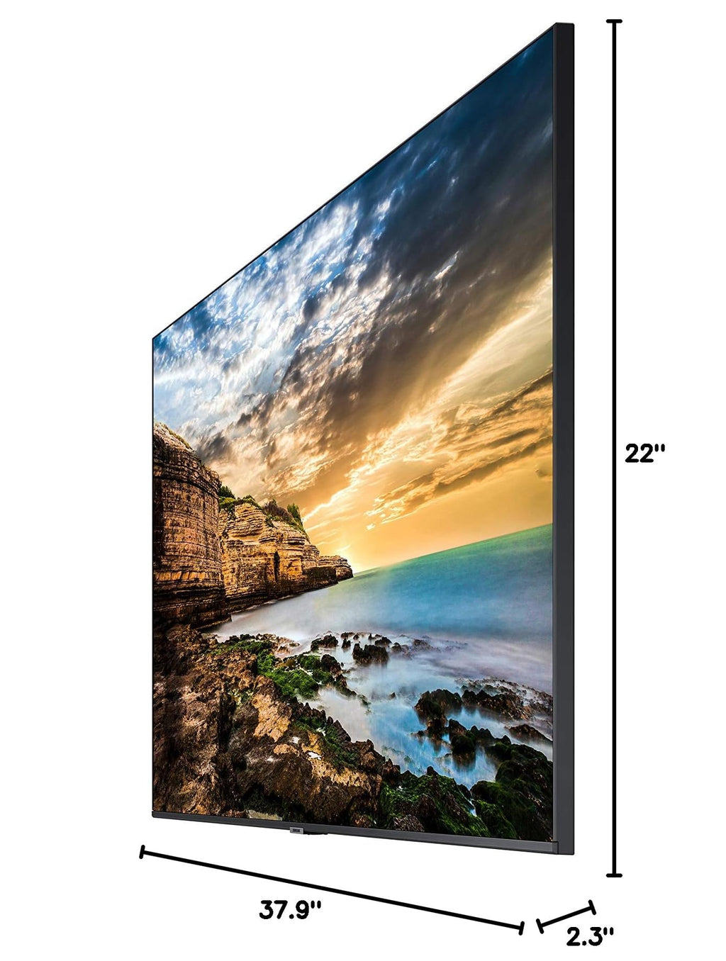 43” UHD Display with Built-in Speakers L468057