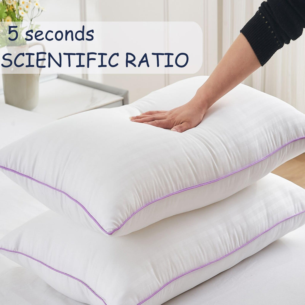 King Size Down Alternative Pillows Set of 2 U7156