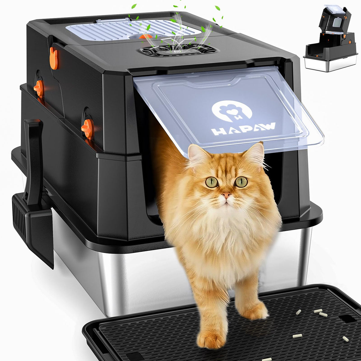 Stainless Steel Enclosed Litter Box with Lid, Scoop & Pedal, Black W752