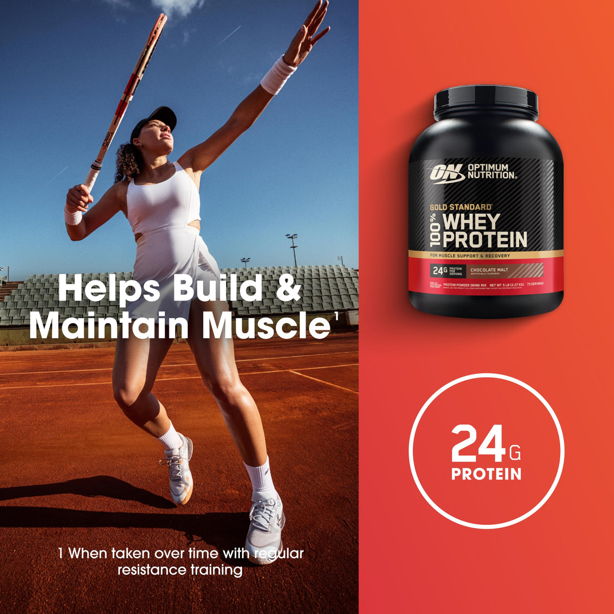 Whey Protein Powder Chocolate Malt 5 LB K249880