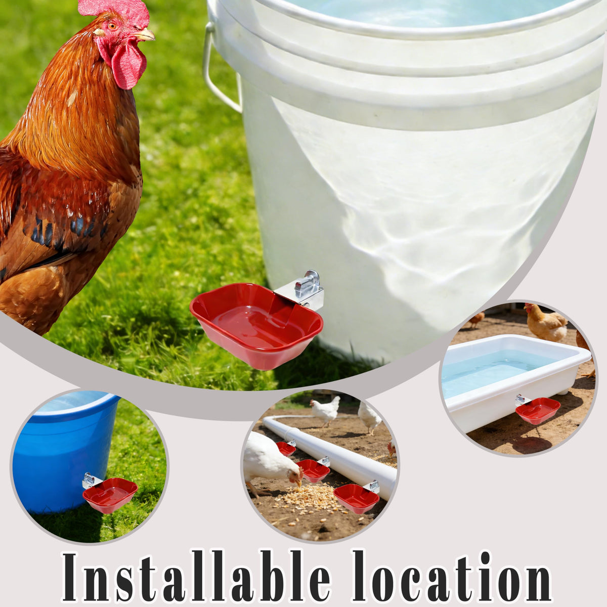 Aluminum Alloy Chicken Waterer Feeder J506985