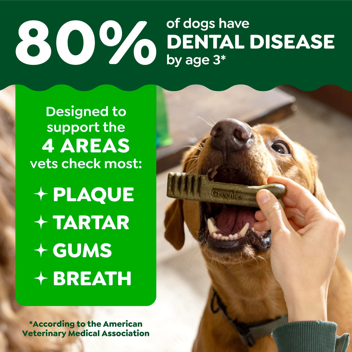 Large Dental Dog Treats 24 Count S760