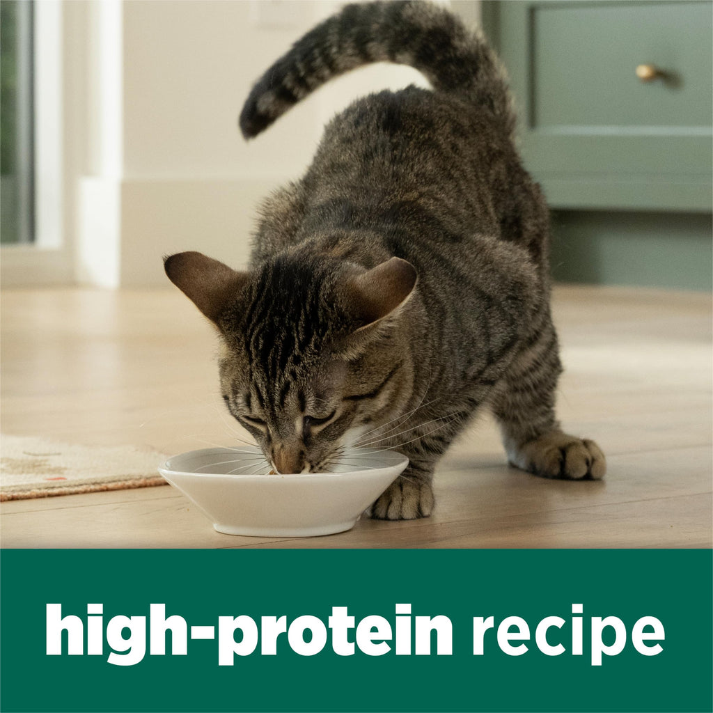 High Protein Dry Cat Food with Vitamins and Minerals 35 lb Bag J100