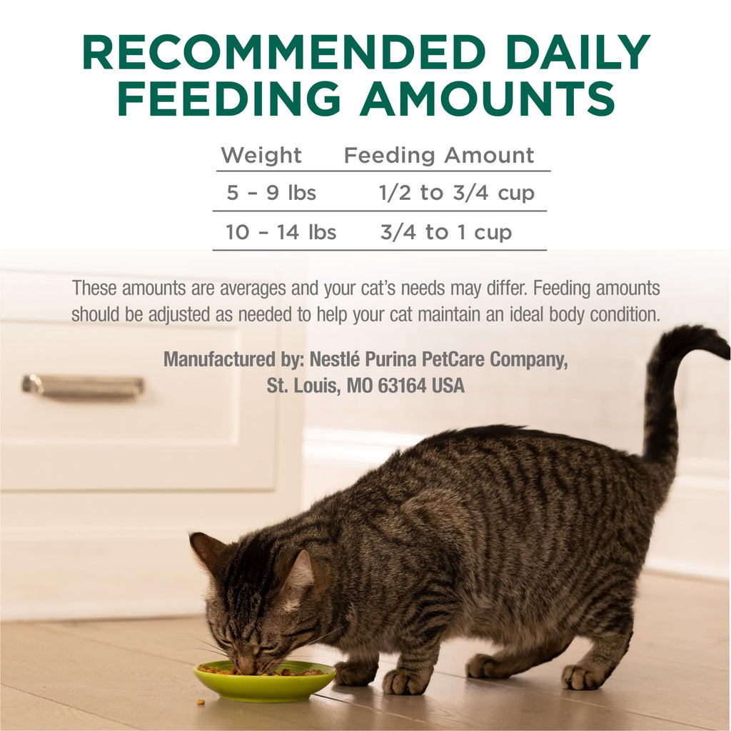High Protein Dry Cat Food with Vitamins and Minerals 35 lb Bag J100