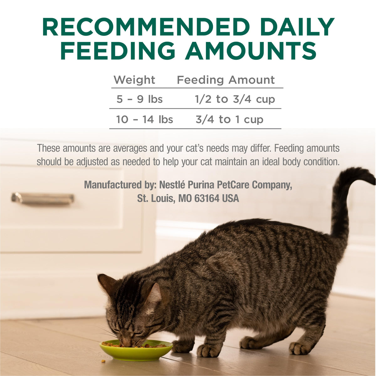 High Protein Dry Cat Food with Vitamins and Minerals 35 lb Bag J100