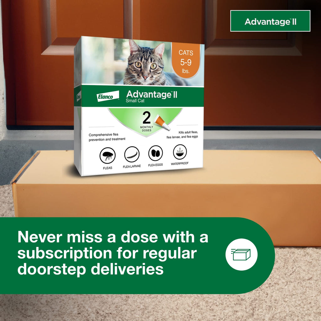 Advantage II Small Cat Topical Flea Treatment & Prevention, 2ct K9665