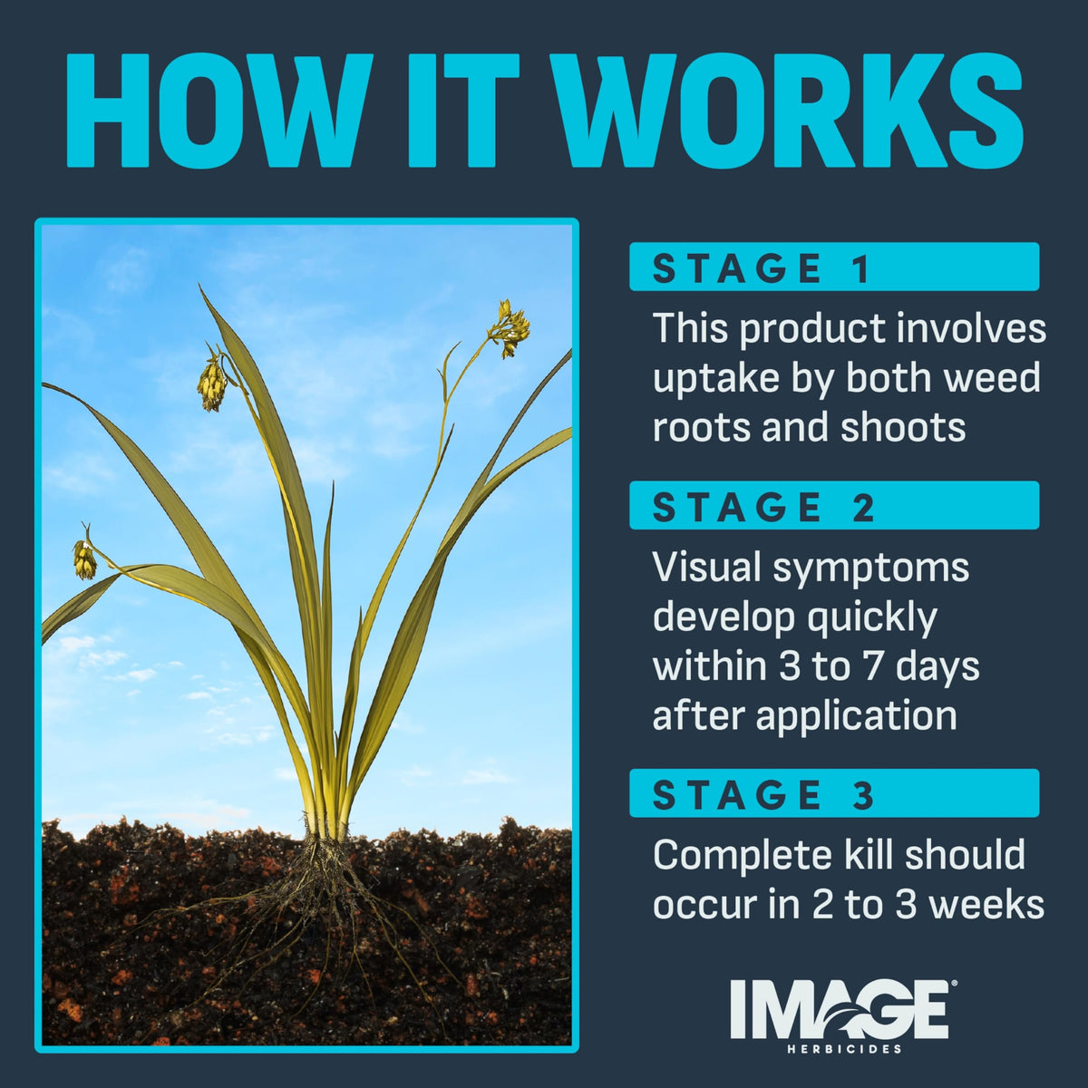 24 fl oz Weed Killer N11643