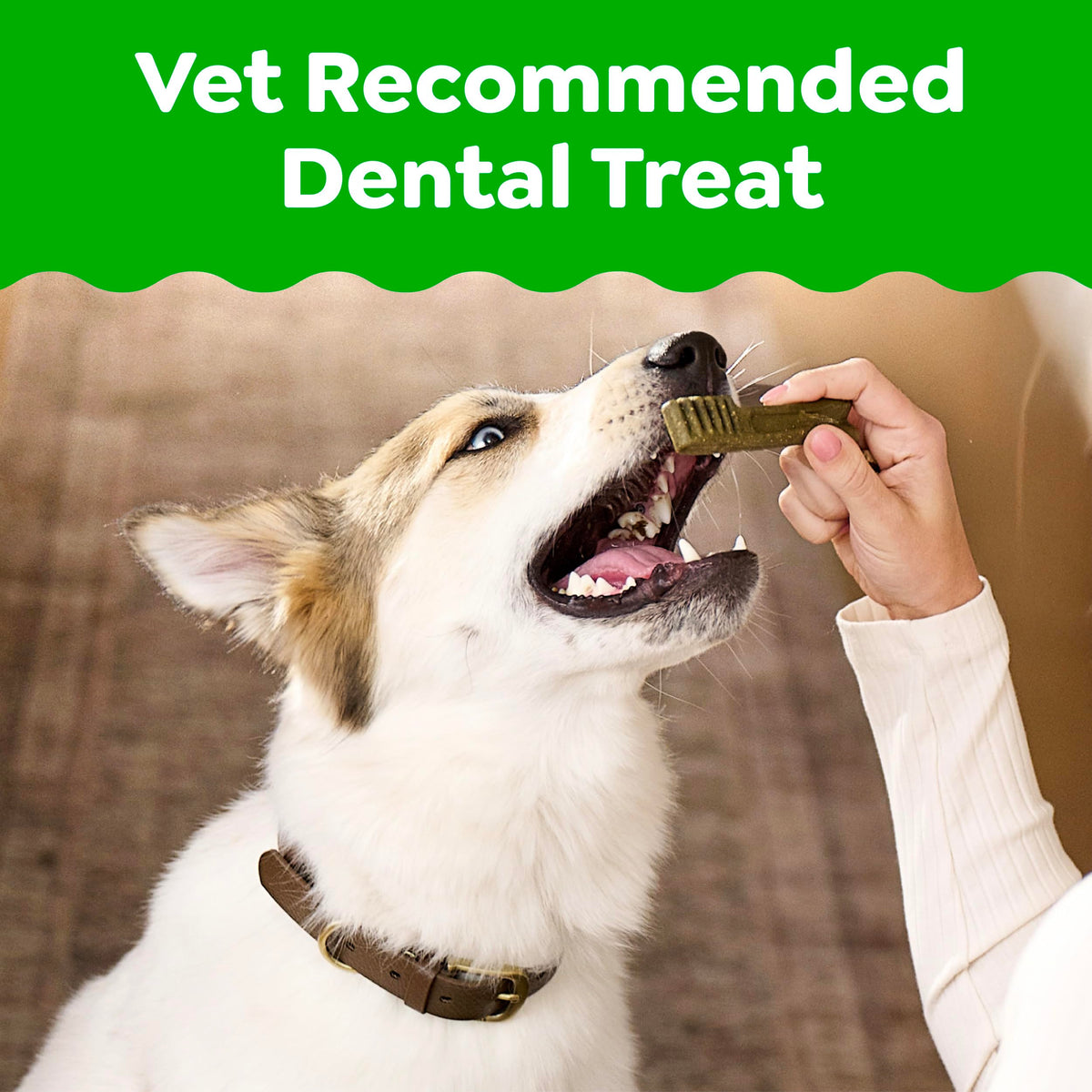 Large Dental Dog Treats 24 Count S760