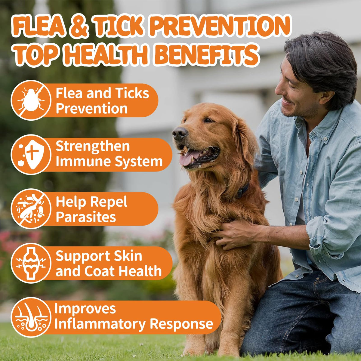 Natural Dog Flea and Tick Chewables 60 Soft Chews Z4585