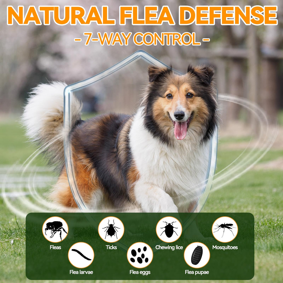 Flea and Tick Prevention for Dogs M162